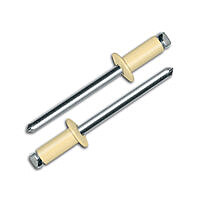ЗАКЛЕПКА 4,8*10 RAL1014 