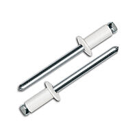 ЗАКЛЕПКА 3,2*8 RAL9003 (белый)