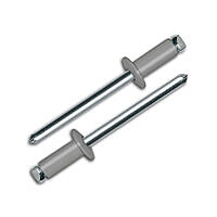 ЗАКЛЕПКА 4,8*8 RAL7004 