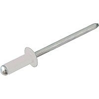 ЗАКЛЕПКА 4,8*8 RAL9003 (белый)
